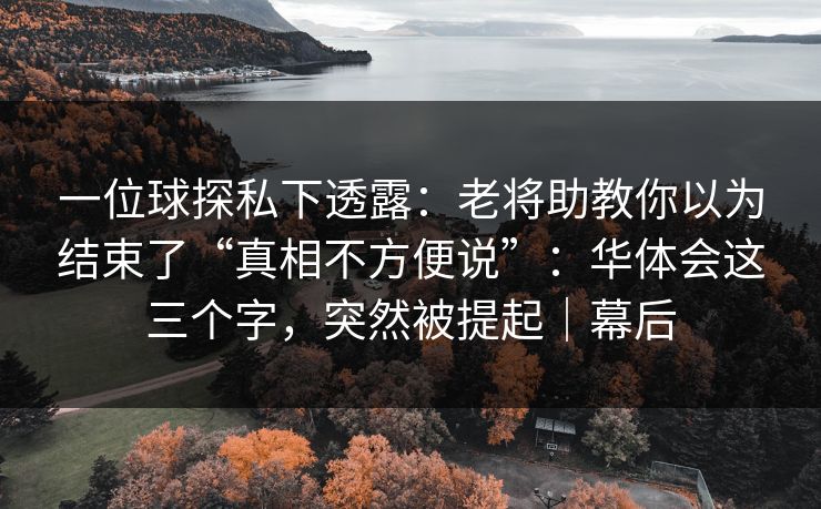 一位球探私下透露：老将助教你以为结束了“真相不方便说”：华体会这三个字，突然被提起｜幕后